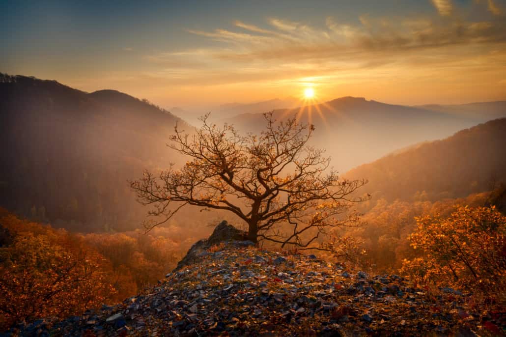 Individuální fotografické kurzy