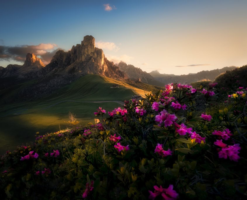 Itálie Dolomity léto květiny a hory slunce