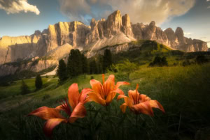 Letní Dolomity - fotokurzy a fotografické workshopy Letní Dolomity - fotokurzy a fotografické workshopy